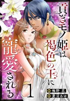 貢ぎモノ姫は褐色の王に寵愛される 1巻