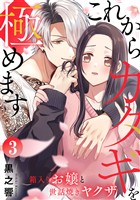 これからカタギを極めます~箱入りお嬢と世話焼きヤクザ~ 3巻