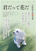 全国川柳作家集 君だって花だ