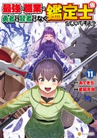 最強の職業は勇者でも賢者でもなく鑑定士(仮)らしいですよ?11