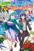大自然の魔法師アシュト、廃れた領地でスローライフ11