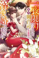 一夜限りのつもりが、腹黒御曹司と予想外のゼロ日溺愛婚となりました