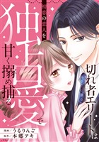 切れ者エリートは初恋の恋人を独占愛で甘く搦め捕る（分冊版）第１話