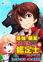 最強の職業は勇者でも賢者でもなく鑑定士（仮）らしいですよ？　番外編