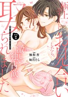 極上エリートとお見合いしたら、激しい独占欲で娶られました　俺様上司と性癖が一致しています【番外編２】