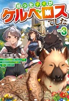 拾った子犬がケルベロスでした　～実は古代魔法の使い手だった少年、本気出すとコワい（？）愛犬と楽しく暮らします～３