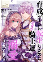 育成ゲームに転生したのに、なぜか騎士達に溺愛されてます［1話売り］　story12