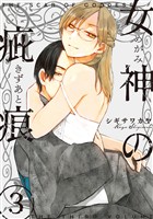 女神の疵痕　3巻