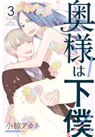 奥様は下僕　3巻