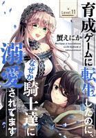 育成ゲームに転生したのに、なぜか騎士達に溺愛されてます［1話売り］　story11