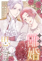 だから、離婚しようと思います【おまけ描き下ろし付き】 3巻