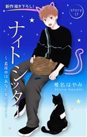 Love Silky　ナイトシッター　～真夜中は あなた専有です！～　story17