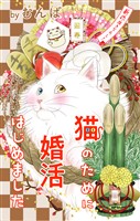 Love Jossie 猫のために婚活はじめました story22