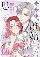 だから、離婚しようと思います［ばら売り］　第12話