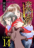 奈落の鎖~DVからの逃走~ 分冊版 14巻