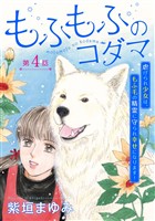 もふもふのコダマ～虐げられ少女は、もふ毛の精霊に守られ幸せになります！～＜単話版＞ 4巻