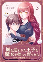 城を追われた王子を魔女が拾って育てたら～1000年分の寵愛が返ってきた～ 3