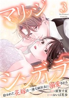 マリッジシンデレラ 拾われた花嫁は一途な副社長に溺愛される 3巻