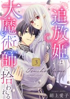 【電子限定特装版】追放姫は大魔術師に拾われる（３）【描き下ろし漫画付き】