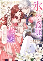 【特装版】氷の侯爵様とかりそめの花嫁～愛のない王命婚なのに、なぜか溺愛されてます～（６）【描き下ろしイラスト付き】