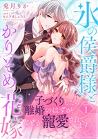 『【期間限定　無料お試し版】氷の侯爵様とかりそめの花嫁～子づくりしたら離婚のはずが、なぜか寵愛されてます～（１）』の電子書籍