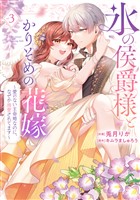 【特装版】氷の侯爵様とかりそめの花嫁～愛のない王命婚なのに、なぜか溺愛されてます～（３）【電子限定描き下ろしイラスト付き】