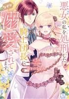 【特装版】悪女の私を処刑した騎士団長に、なぜか溺愛されてます（３）