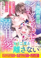 【期間限定 試し読み増量版】冷徹御曹司はシークレットベビー発覚で溺甘愛を昂らせる~黙って去った私を恨んでいたはずですが~