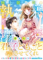 【期間限定 試し読み増量版】極上御曹司の執着溺愛~愛人だと思っていたら妻に望まれ妊娠しました~