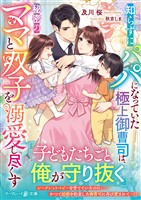 知らずにパパになっていた極上御曹司は、秘密のママと双子を溺愛し尽くす