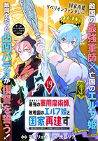 処刑された最強の軍用魔術師、敗戦国のエルフ姫と国家再建す～祖国よ邪魔するのは勝手だが、その魔術作ったの俺なので効かないが？～（単話版）第19話