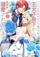 「これは政略結婚だ」と言った王太子殿下からなぜか溺愛されています（３）
