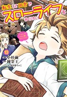 転生して田舎でスローライフをおくりたい 13巻