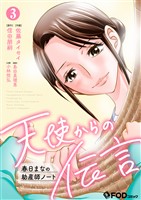 天使からの伝言-春日まなの助産師ノート- 3