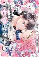 この愛は、国王陛下のご命令じゃない ～おひとりさま希望の令嬢ですが、不仲な騎士が離してくれません！～ 17話
