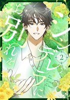 シンデレラにお別れを 2