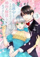 忠誠心がないと言われたので婚約を解消してあげました。3