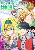 職業は鑑定士ですが【神眼】ってなんですか?~世界最高の初級職で自由にいきたい~ 3