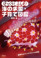 びっくり！ふしぎ！海の求愛・子育て図鑑