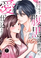 身一つで転がり込んだら、腹黒御曹司に愛を仕込まれています７