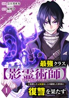 最強クラス【影霊術師】に覚醒した元奴隷は、この腐敗した世界に復讐を果たす１