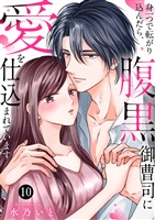 身一つで転がり込んだら、腹黒御曹司に愛を仕込まれています１０