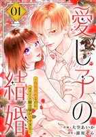 【期間限定　試し読み増量版】愛し子の結婚～偽装契約なのにエリート騎士様が甘すぎる～【電子単行本版／特典おまけ付き】１