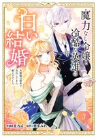 『魔力なし令嬢と冷酷な英雄の白い結婚～旦那様は前世で告白してきた教え子でした～３』の電子書籍