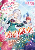 婚約破棄されましたが、泣き寝入りはいたしません！～悪役令嬢は身勝手な元婚約者に囚われた聖女を救出することにしました～