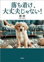 落ち着け、大丈夫じゃない！