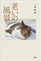 老いの風景
