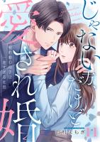 じゃない方、だけど愛され婚~契約婚の相手は一途すぎる社長(11)