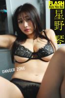 FLASHデジタル写真集 星野琴 DANGER ZONE