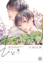 木洩れ日のひと　新装版 3